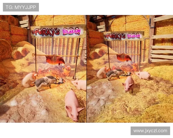 超好玩的双人游戏合集抖音入口精彩推荐与玩法解析